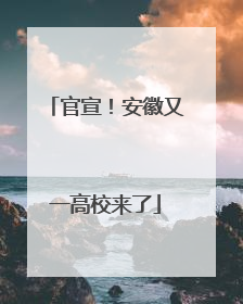 官宣！安徽又一高校来了
