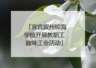 宜宾叙州樟海学校开展教职工趣味工会活动