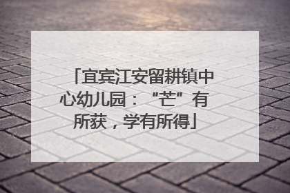 宜宾江安留耕镇中心幼儿园：“芒”有所获，学有所得