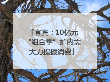 宜宾：10亿元“组合拳”扩内需 大力提振消费