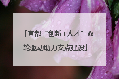 宜都“创新+人才”双轮驱动助力支点建设
