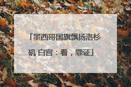 墨西哥国旗飘扬洛杉矶 白宫：看，罪证