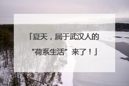 夏天，属于武汉人的“荷系生活”来了！