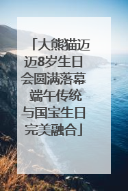 大熊猫迈迈8岁生日会圆满落幕 端午传统与国宝生日完美融合