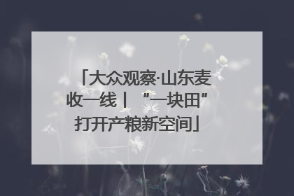 大众观察·山东麦收一线丨“一块田”打开产粮新空间