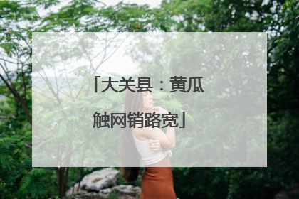 大关县：黄瓜触网销路宽