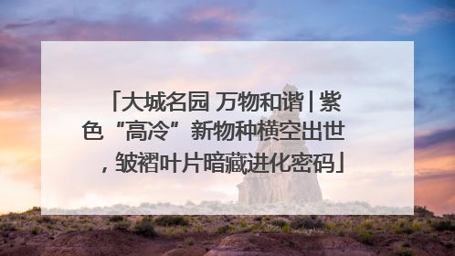 大城名园 万物和谐│紫色“高冷”新物种横空出世，皱褶叶片暗藏进化密码