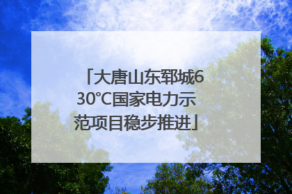 大唐山东郓城630℃国家电力示范项目稳步推进