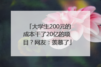 大学生200元的成本干了20亿的项目？网友：羡慕了