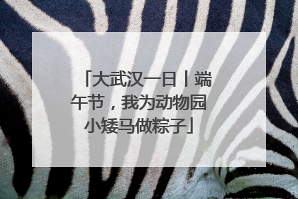大武汉一日丨端午节，我为动物园小矮马做粽子