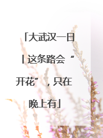 大武汉一日丨这条路会“开花”，只在晚上有