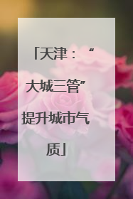 天津：“大城三管”提升城市气质