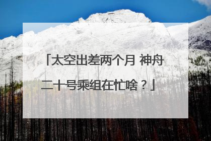太空出差两个月 神舟二十号乘组在忙啥？