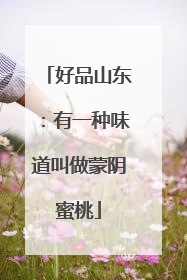好品山东：有一种味道叫做蒙阴蜜桃