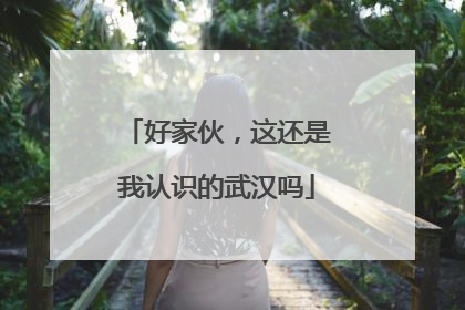 好家伙，这还是我认识的武汉吗