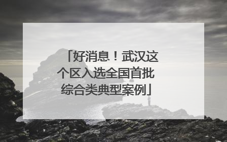 好消息！武汉这个区入选全国首批综合类典型案例