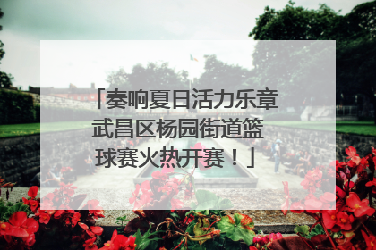 奏响夏日活力乐章 武昌区杨园街道篮球赛火热开赛！