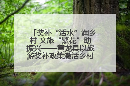 奖补“活水”润乡村 文旅“繁花”助振兴——黄龙县以旅游奖补政策激活乡村振兴新动能