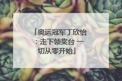 奥运冠军丁欣怡：走下领奖台 一切从零开始