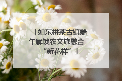 如东栟茶古镇端午解锁农文旅融合“新花样”