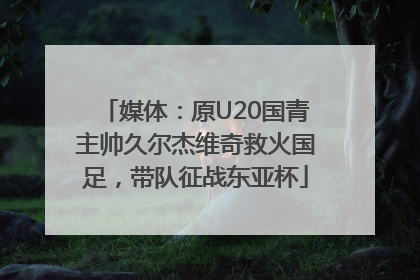 媒体：原U20国青主帅久尔杰维奇救火国足，带队征战东亚杯