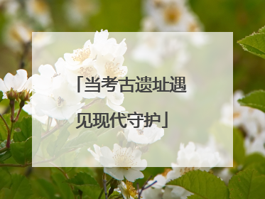 当考古遗址遇见现代守护