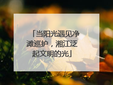 当阳光遇见净滩巡护，湘江泛起文明的光