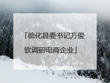 德化县委书记方俊钦调研电商企业