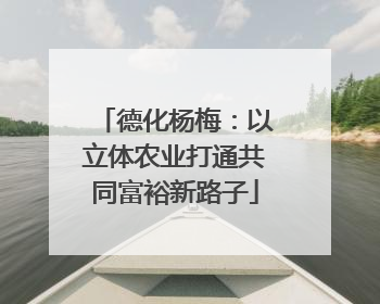 德化杨梅：以立体农业打通共同富裕新路子