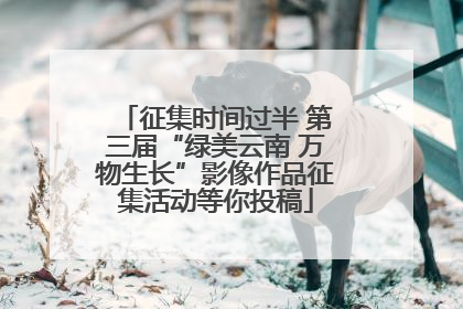 征集时间过半 第三届“绿美云南 万物生长”影像作品征集活动等你投稿