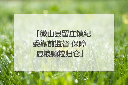 微山县留庄镇纪委靠前监督 保障夏粮颗粒归仓