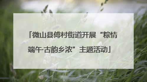 微山县傅村街道开展“粽情端午·古韵乡浓”主题活动