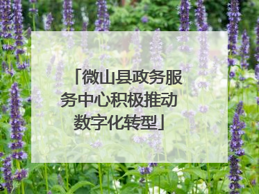 微山县政务服务中心积极推动数字化转型