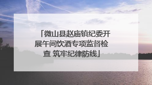 微山县赵庙镇纪委开展午间饮酒专项监督检查 筑牢纪律防线
