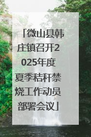 微山县韩庄镇召开2025年度夏季秸秆禁烧工作动员部署会议