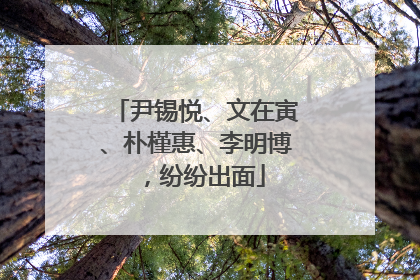 尹锡悦、文在寅、朴槿惠、李明博，纷纷出面