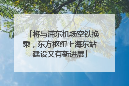 将与浦东机场空铁换乘，东方枢纽上海东站建设又有新进展