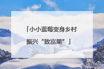 小小蓝莓变身乡村振兴“致富果”