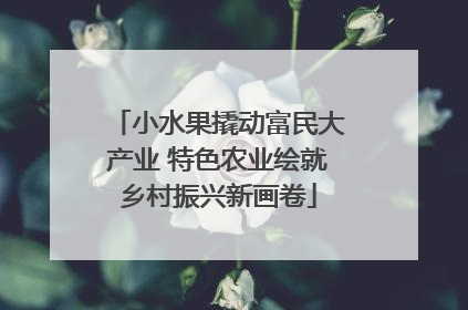 小水果撬动富民大产业 特色农业绘就乡村振兴新画卷