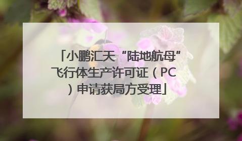 小鹏汇天“陆地航母”飞行体生产许可证（PC）申请获局方受理