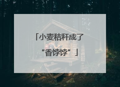 小麦秸秆成了“香饽饽”
