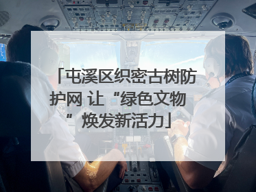 屯溪区织密古树防护网 让“绿色文物”焕发新活力