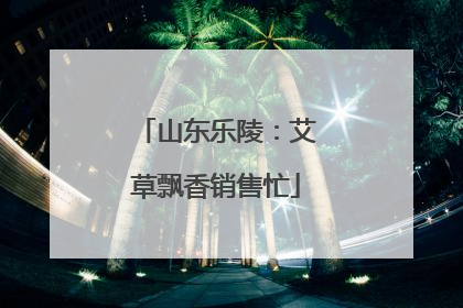 山东乐陵：艾草飘香销售忙