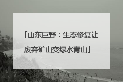 山东巨野：生态修复让废弃矿山变绿水青山