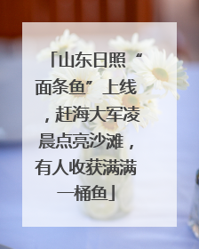 山东日照“面条鱼”上线，赶海大军凌晨点亮沙滩，有人收获满满一桶鱼