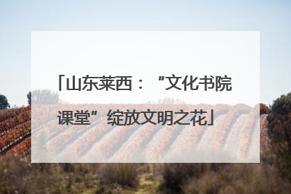 山东莱西：“文化书院课堂”绽放文明之花