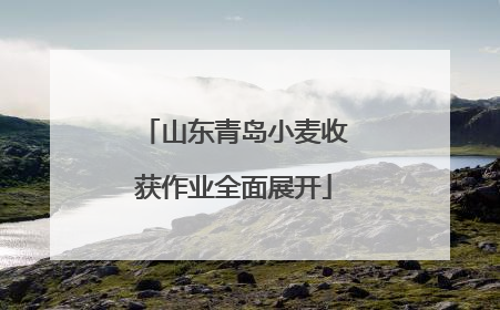 山东青岛小麦收获作业全面展开