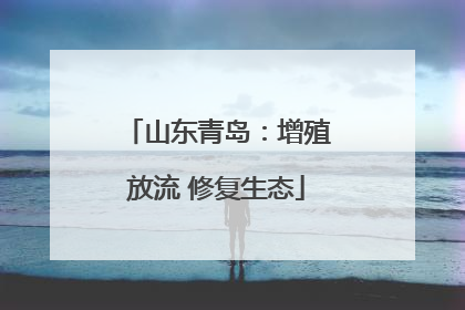 山东青岛：增殖放流 修复生态