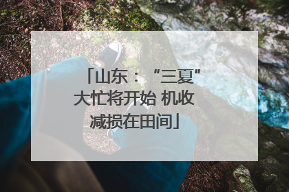 山东：“三夏”大忙将开始 机收减损在田间