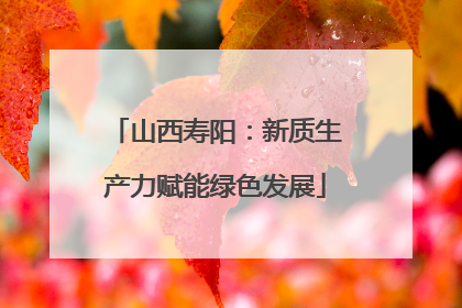 山西寿阳：新质生产力赋能绿色发展